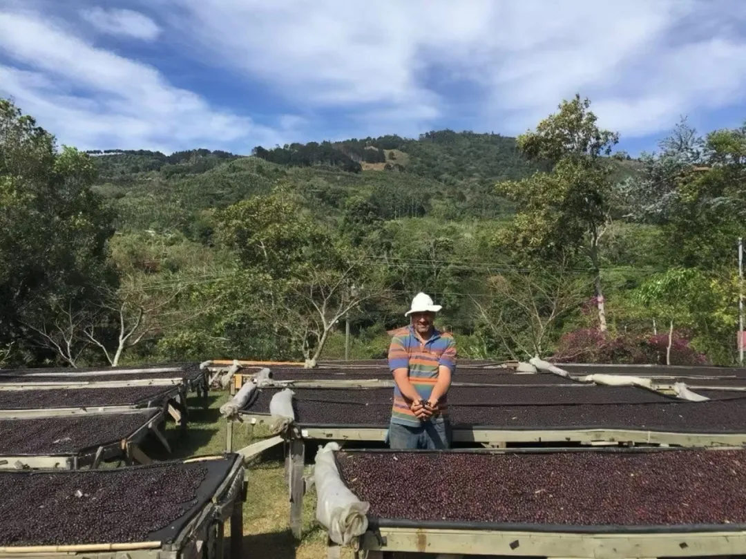 Flavor Analysis and Pour Over Brewing Recommendations for Costa Rican Black Honey Processed Coffee | Tarrazú Region Coffee Selection