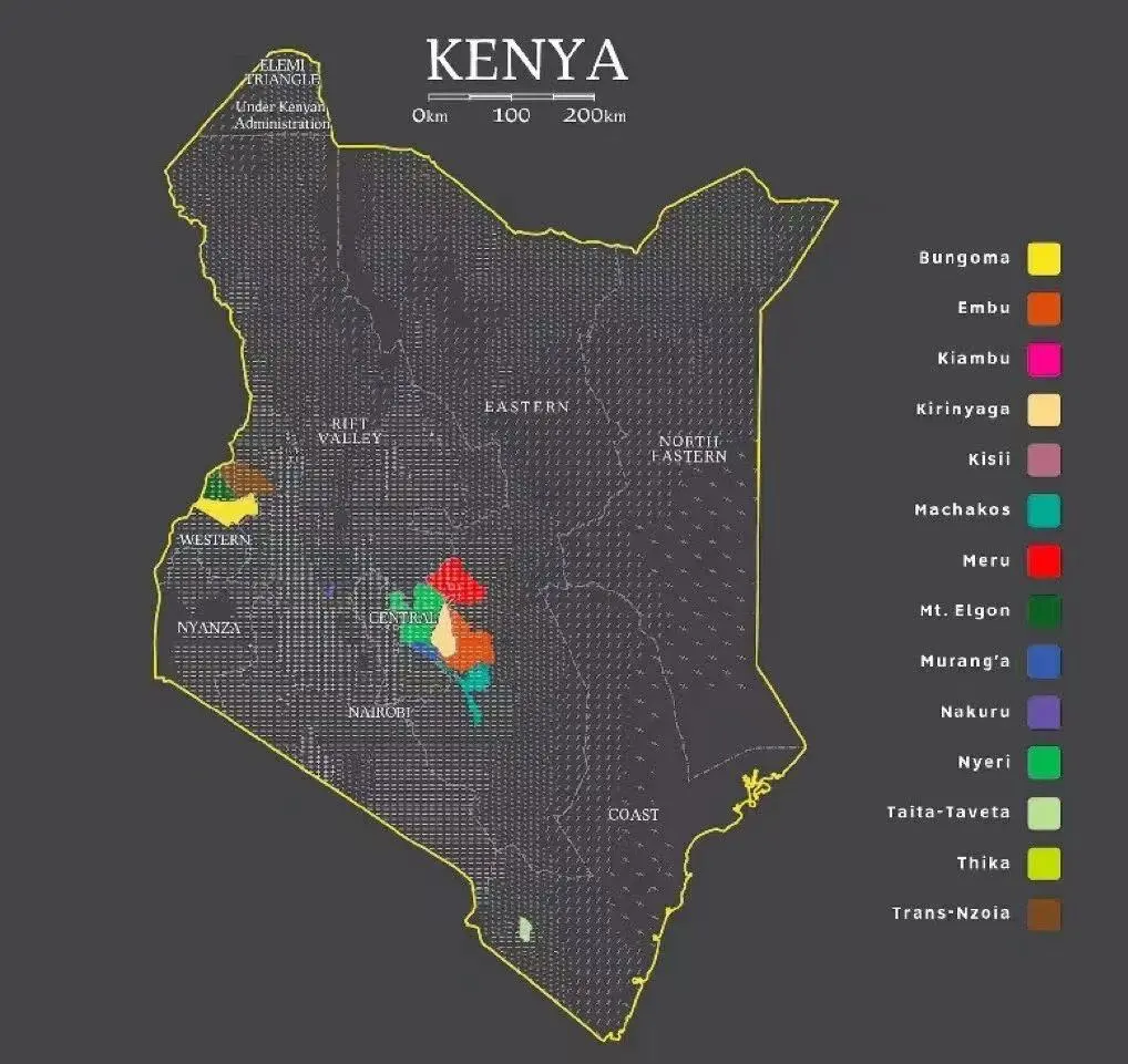 Why does Kenyan coffee have a tomato-like acidity? A complete breakdown of variety, altitude, and washed processing