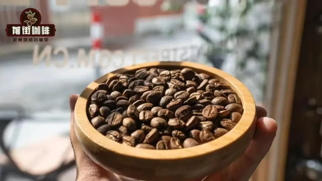 The Evolution of Yunnan Small-Bean Coffee Varieties: From Typica to Catimor — A Complete Analysis of Flavor and Cultivars