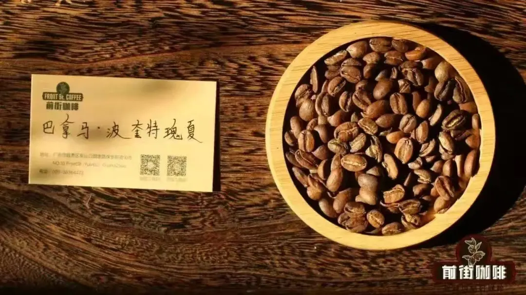 Analysis of Flavor Differences Between Geisha and Yirgacheffe | Beginner's Guide to Coffee Varieties and Origins