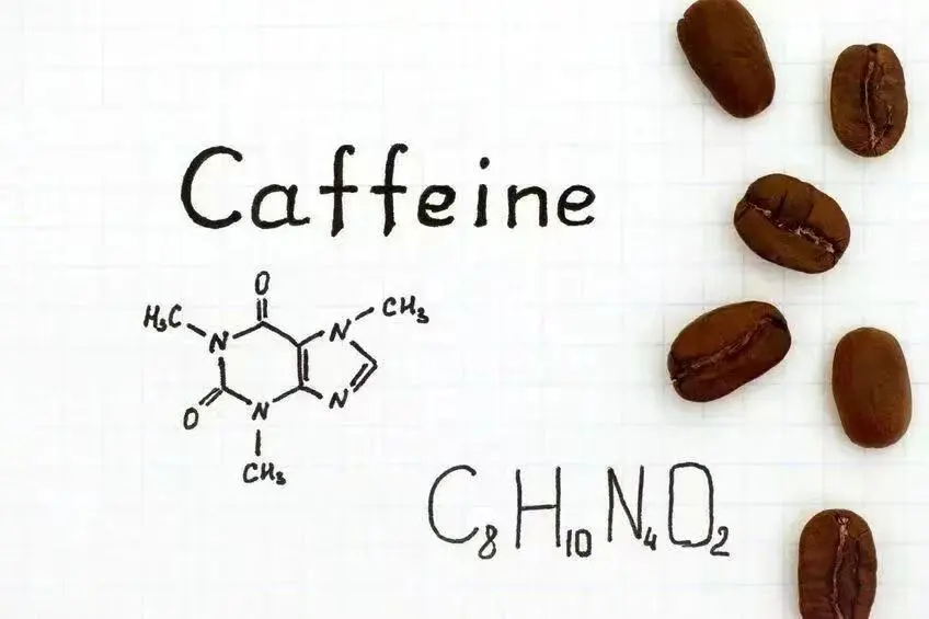 How to Choose Decaf Coffee? Understand the Decaffeination Process, Flavor Profiles, and Ideal Audiences All in One Go
