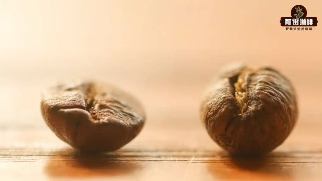 Unveiling the PB Grade of Coffee: What’s the Flavor Difference Between Peaberry and Flat Beans? A Complete Guide to Blue Mountain Coffee Grading