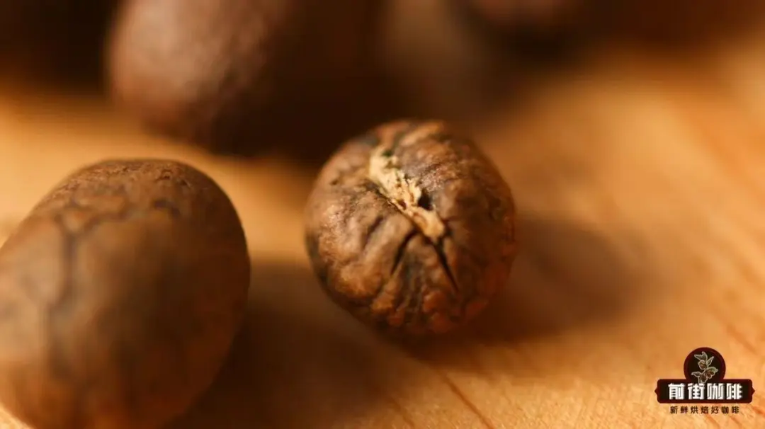 Unveiling the PB Grade of Coffee: What’s the Flavor Difference Between Peaberry and Flat Beans? A Complete Guide to Blue Mountain Coffee Grading
