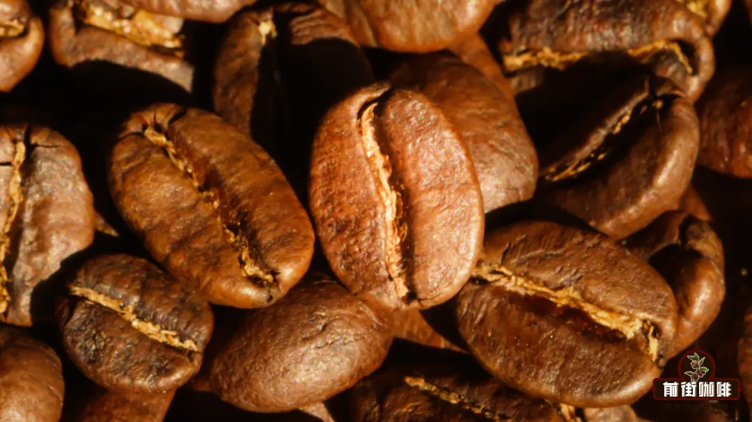Coffee Variety Guide: Typica, Bourbon, Geisha & More – Pour Over Flavor Profiles & Bean Shape Identification