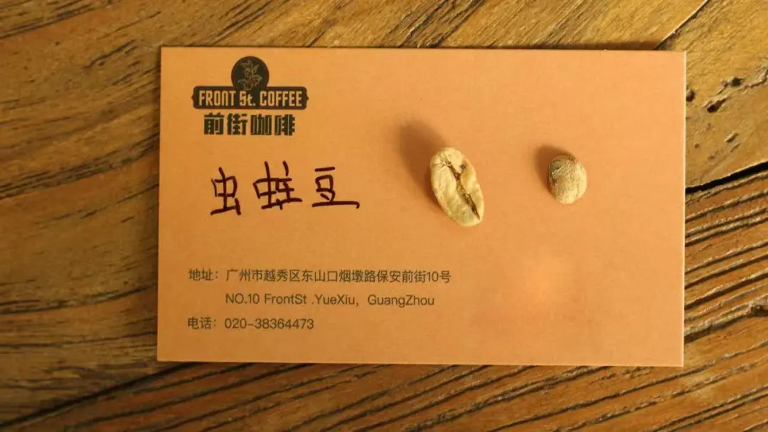 Pour Over Coffee Must-Read: A Complete Guide to Identifying Defective Beans and Their Flavor Impacts