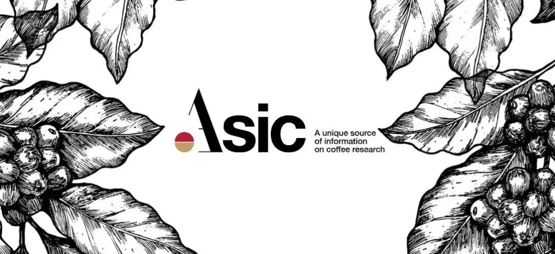 How Does Coffee Roast Level Affect Caffeine? An Analysis of Caffeine Content in Dark vs. Light Roasts