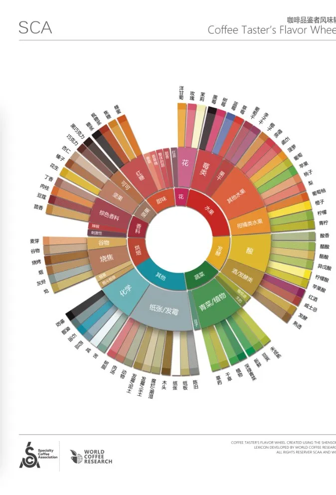 Beginner's Must-Read: Analysis of the Three Rings of the New SCAA Coffee Taster’s Flavor Wheel & Pour Over Flavor Training Guide