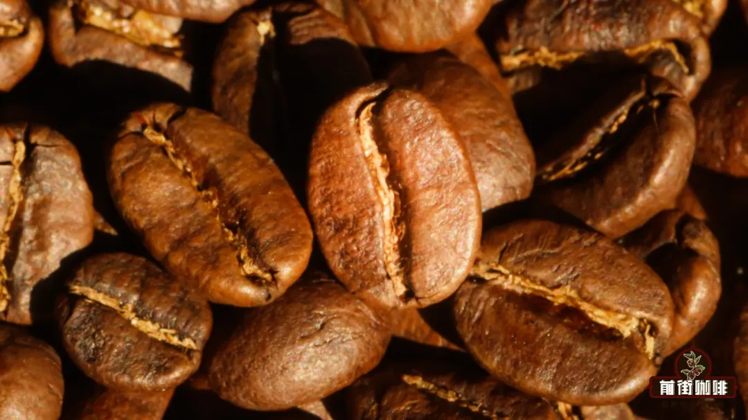 The Origins of Typica Coffee Beans and the Flavor Secrets of Jamaican Blue Mountain | A Guide to Coffee Variety Tracing