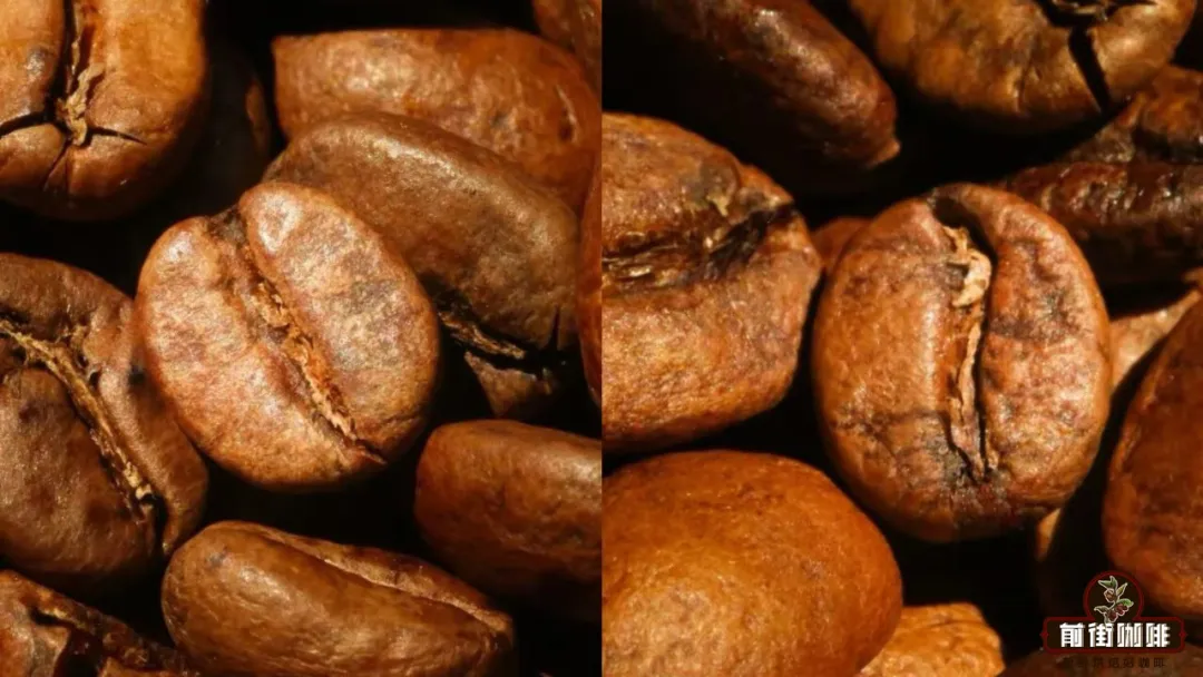 Jade Mountain Estate Diamond Mountain vs Geisha: Variety Differences, Flavor Profiles, and Brewing Recommendations