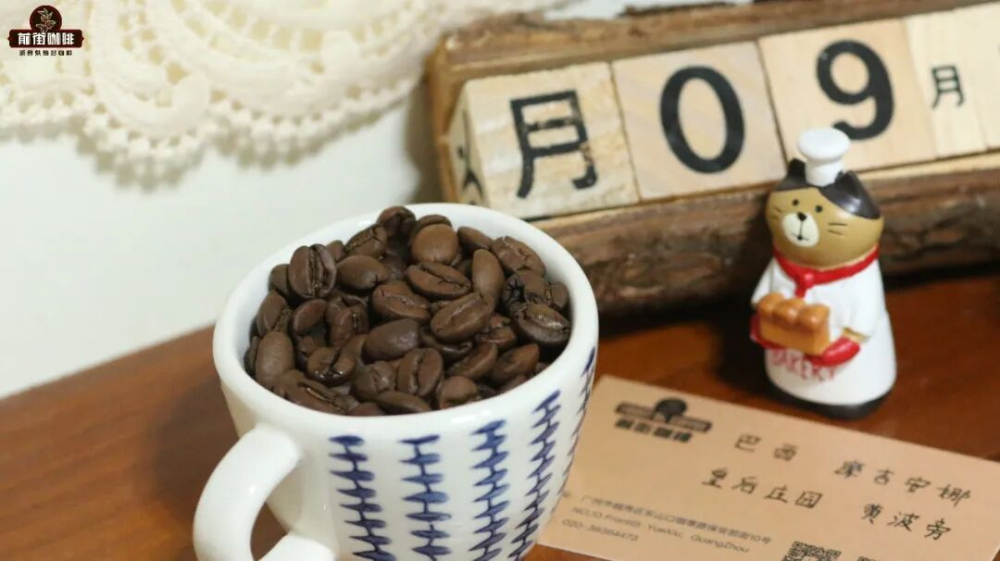 Second Pour-Over Experiment: Can Different Roast Levels Be Re-Brewed to Enhance Flavor? Hands-On Comparative Analysis
