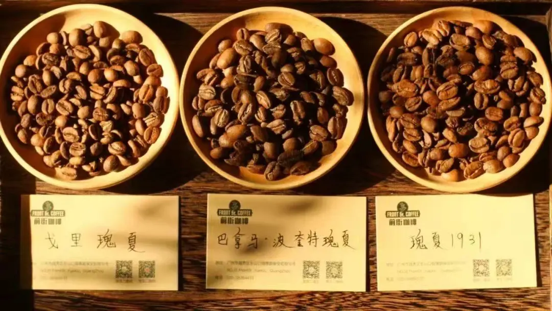 Complete Guide to the Five Product Lines of Ethiopia Gesha Village: How to Choose Between Auction Grade, Gold, Red, Green, and Chaka?