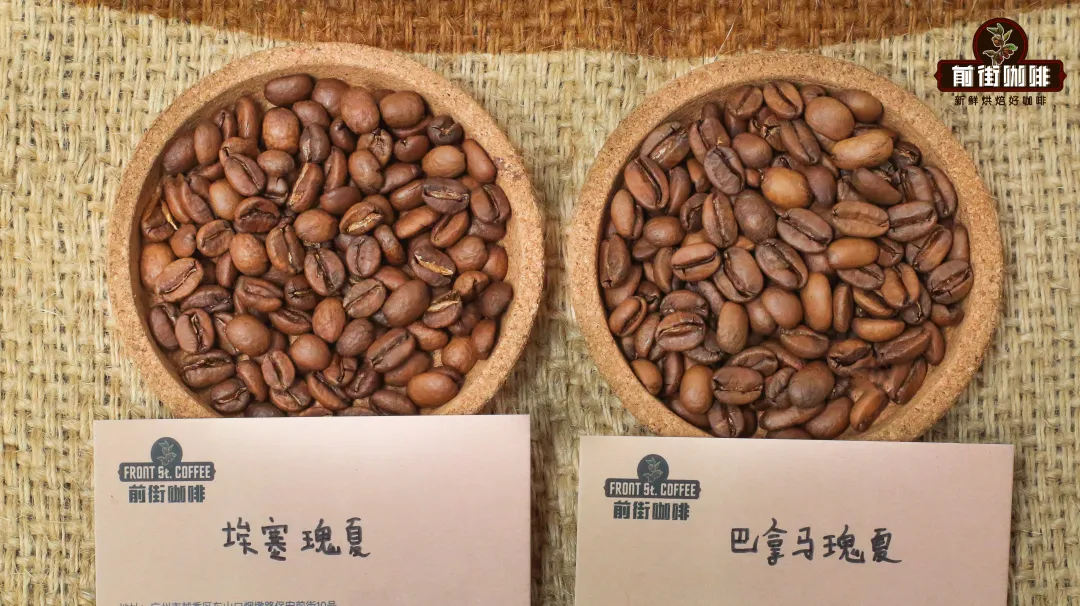 Ethiopia vs Panama Geisha: A Breakdown of the Vastly Different Flavors and Prices Despite the Same Name