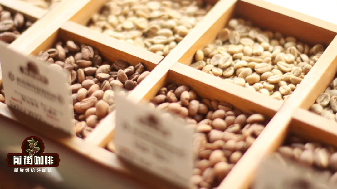 The Ultimate Guide to Coffee Bean Classifications: Flat Beans, Peaberry, Hard Beans, Soft Beans & Brewing Parameters