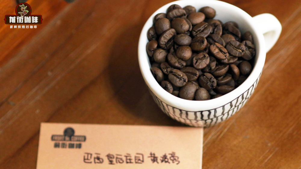 Recommended High-Value Pour Over Beans | A Guide to Bean Selection and Brewing Parameters from Beginner to Advanced