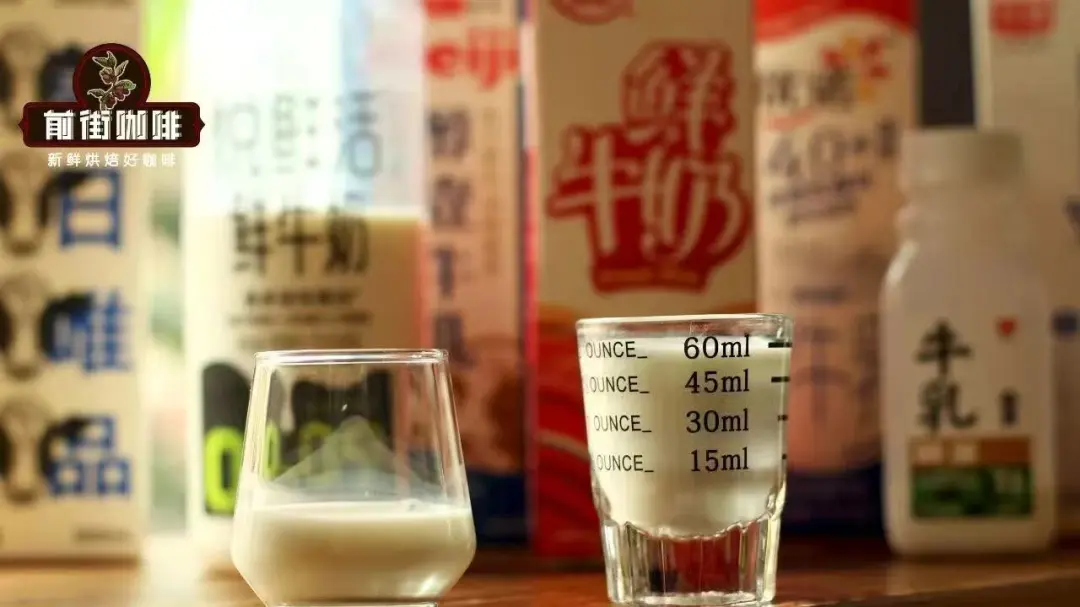 Latte Coffee Bean & Milk Pairing Guide: Golden Ratio & Flavor Analysis