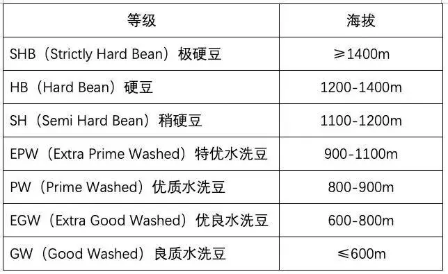 The Ultimate Guide to Coffee Bean Classifications: Flat Beans, Peaberry, Hard Beans, Soft Beans & Brewing Parameters