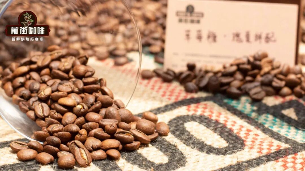 Real-World Test of Frozen Coffee Bean Storage: Complete Guide to Shelf Life, Thawing Methods, and Flavor Preservation