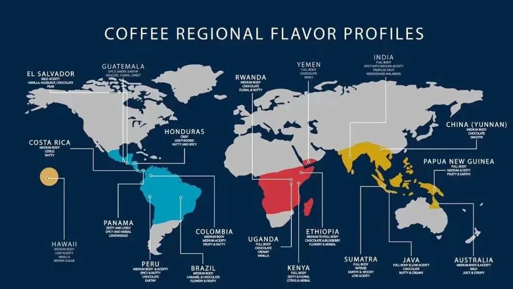 Flavor Profiles of Coffee Regions Across Three Continents | Characteristics of African, Latin American, and Asian Bean Varieties and Pour Over Recommendations