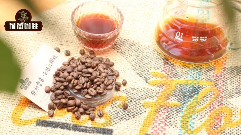 The Secret Behind the Wine-like Aroma and Astringency in Cold Drip Coffee | A Comprehensive Analysis of Aging Time and Flavor Changes During Refrigeration