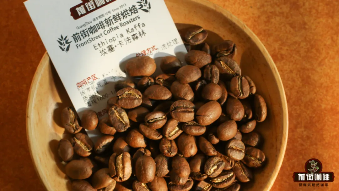 Analysis of Ethiopian Yirgacheffe Forest Coffee Beans: Is the Geisha Flavor a Misconception? Full Disclosure of Pour Over Parameters and True Taste