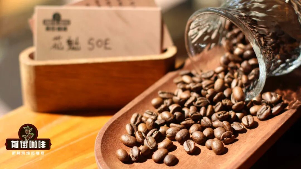Complete Guide to SOE Coffee Ratios & Brewing Parameters | Single-Origin Bean Selection & Flavor Adjustment Techniques
