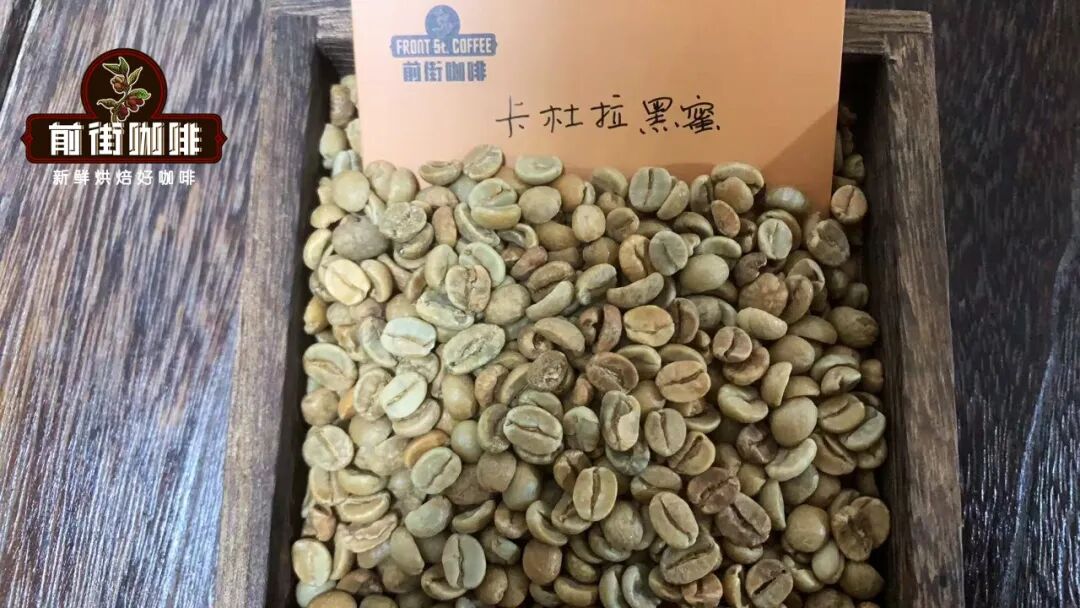Recommended Honey-Processed Coffee Beans from Costa Rica | Analysis of Red Honey, Yellow Honey, and Black Honey Differences and Flavor Guide