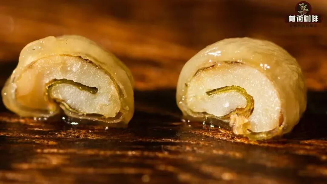 Recommended Honey-Processed Coffee Beans from Costa Rica | Analysis of Red Honey, Yellow Honey, and Black Honey Differences and Flavor Guide