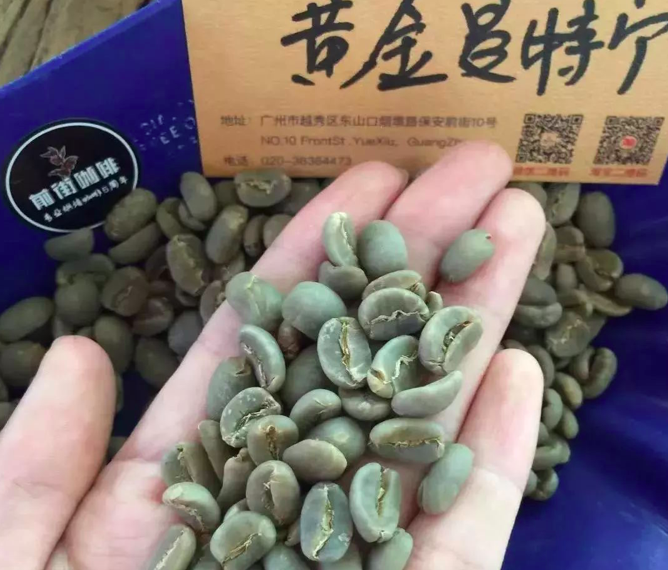 A Comprehensive Guide to Indonesian Mandheling Coffee: Flavor Profiles and Differences of the Four Classic Varieties