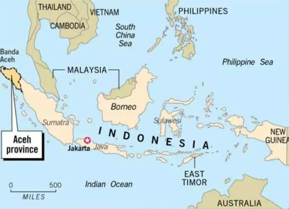 A Complete Guide to Indonesia’s Sumatra Coffee Region: Is Mandheling a Specialty Arabica Bean?
