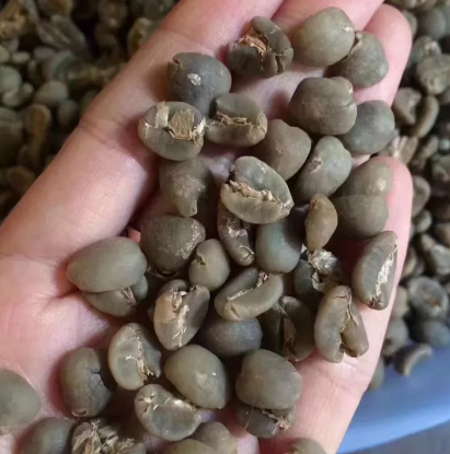A Complete Guide to Indonesia’s Sumatra Coffee Region: Is Mandheling a Specialty Arabica Bean?