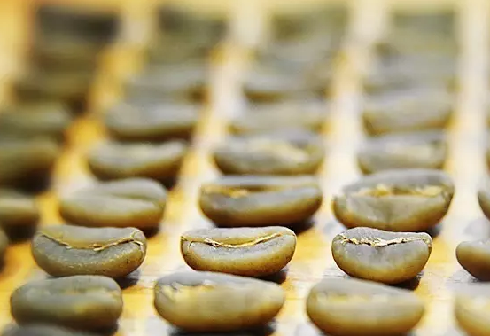 A Complete Guide to Indonesia’s Sumatra Coffee Region: Is Mandheling a Specialty Arabica Bean?