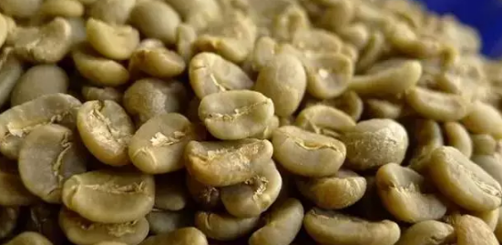 A Complete Guide to Indonesia’s Sumatra Coffee Region: Is Mandheling a Specialty Arabica Bean?