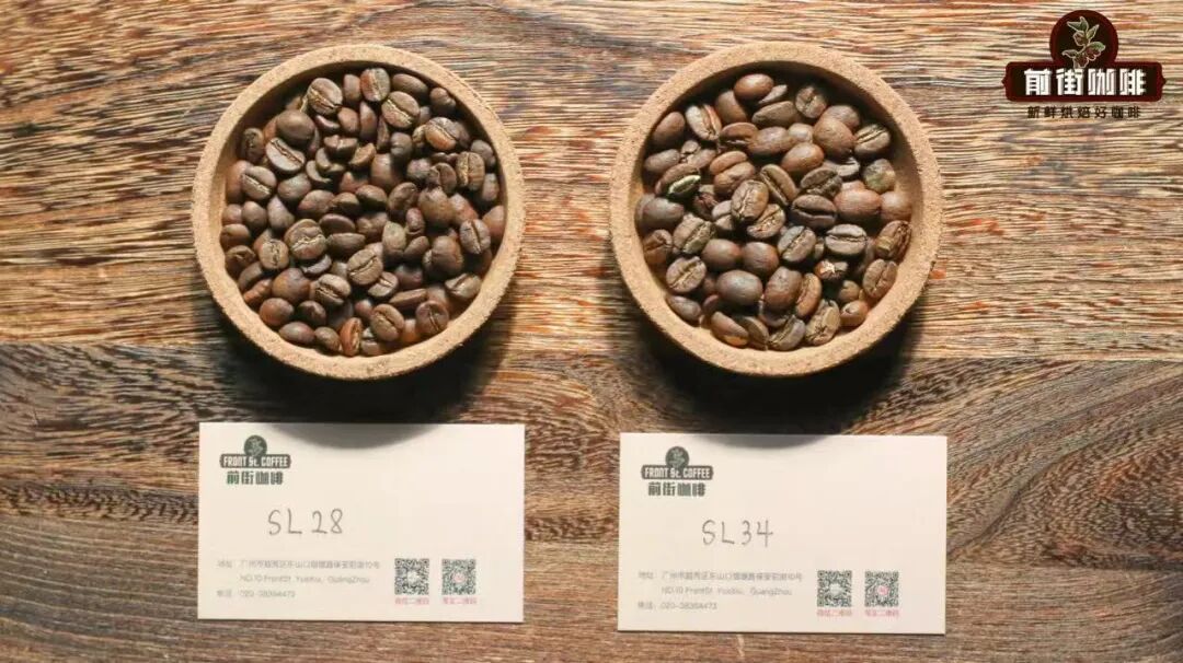How to Choose Kenyan Coffee Beans? A Complete Guide to Their Unique Flavor Profile and Pour Over Parameters