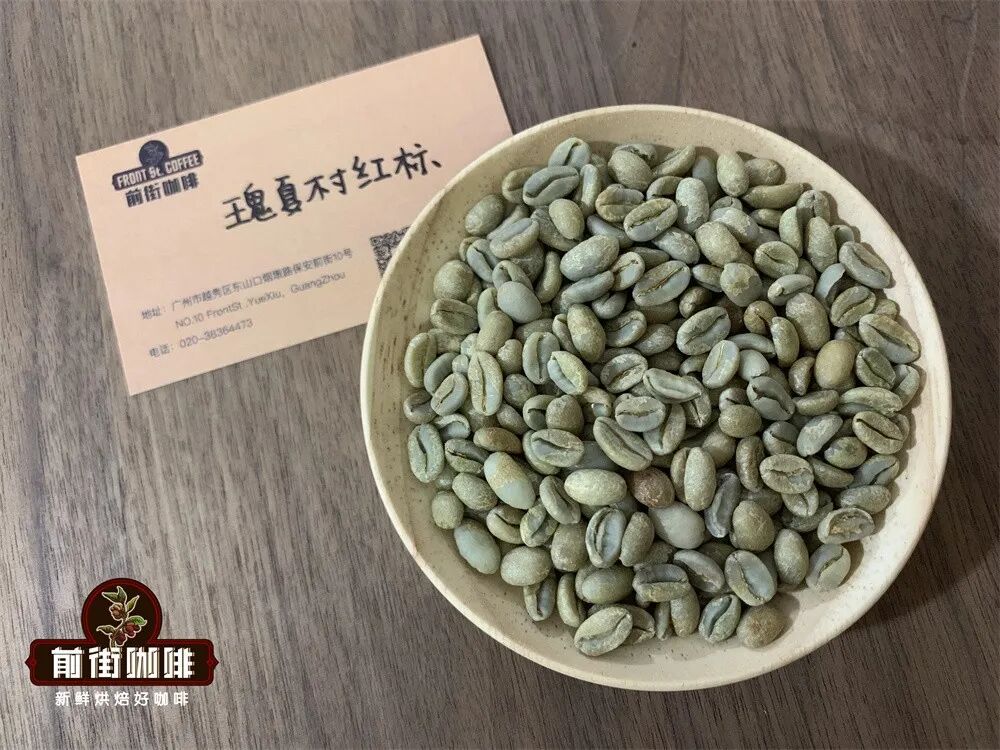 A Comprehensive Guide to Geisha Coffee: From Variety Origins to Regional Flavor Profiles and Brewing Recommendations