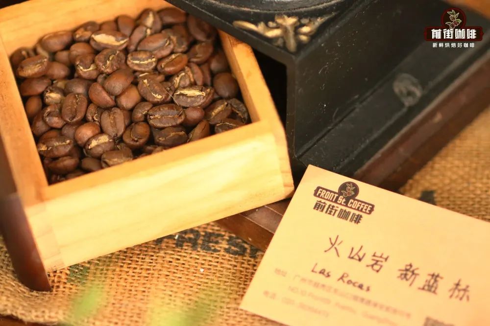 A Comprehensive Guide to Geisha Coffee: From Variety Origins to Regional Flavor Profiles and Brewing Recommendations