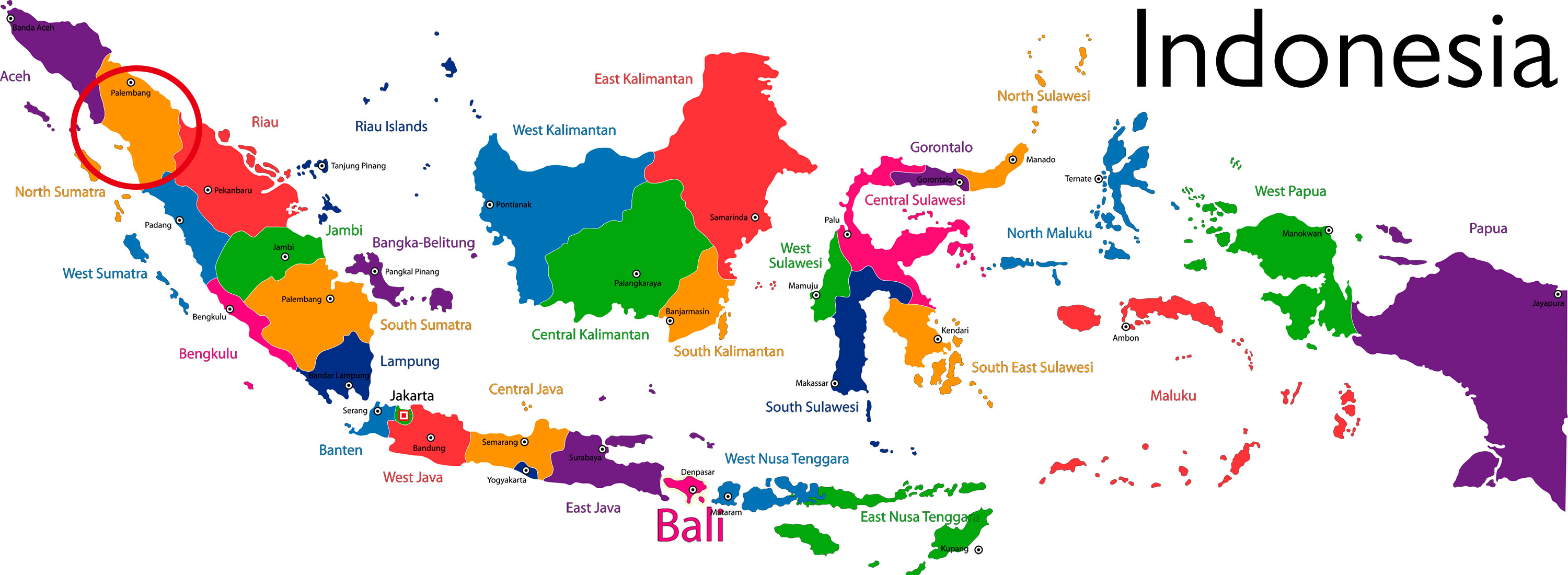 Decoding Sumatra Mandheling Flavors: How the Wet-Hulling Process Shapes the Differences Between Indonesian Golden Mandheling and Lintong Beans?