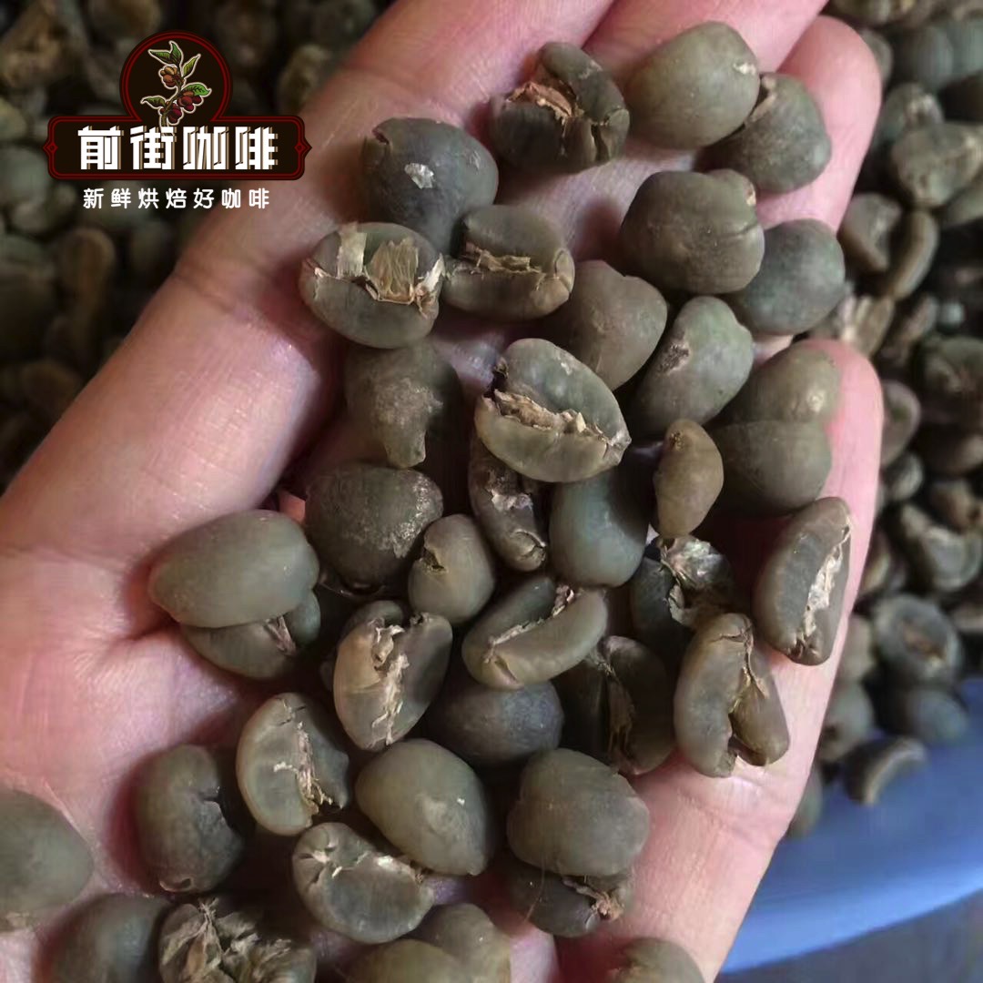 In-depth Analysis of Indonesian Mandheling Beans | From the Sumatra Region to Pour Over Recommendations for Golden Mandheling