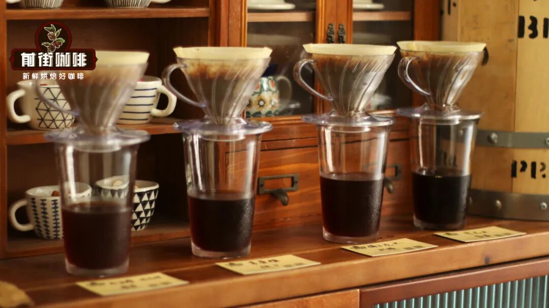 Getting Started with Coffee Flavor Training | A Practical Guide to Building Your Sensory System from Scratch