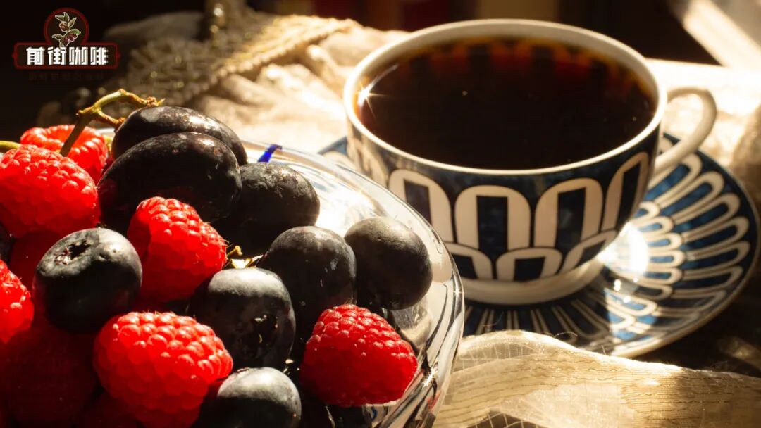 Getting Started with Coffee Flavor Training | A Practical Guide to Building Your Sensory System from Scratch
