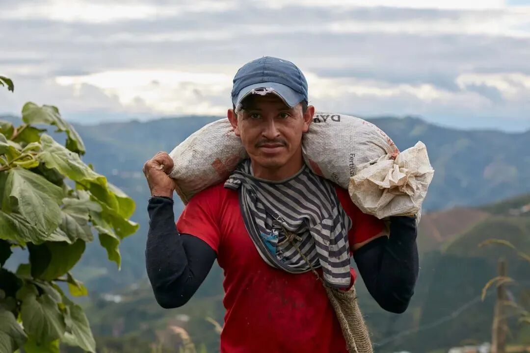 Unveiling the Origins of Colombian Coffee | How FNC Paved the Way for the Global Specialty Bean Supply Chain