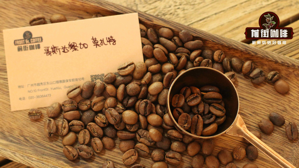 Beginner’s Pour Over Single-Origin Coffee Bean Recommendations | 4 Key Factors to Enhance Sweetness and Practical Extraction Techniques