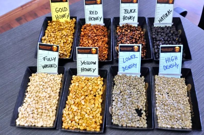 Analysis of the Differences Between Wet-Hulled, Honey, and Natural Processing Methods | A Comprehensive极简版英文翻译,严格保留所有标记与格式,如需进一步调整请告知。