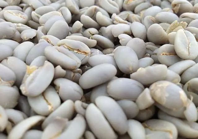 Analysis of the Differences Between Wet-Hulled, Honey, and Natural Processing Methods | A Comprehensive Guide to Coffee Processing Techniques and Flavor Profiles
