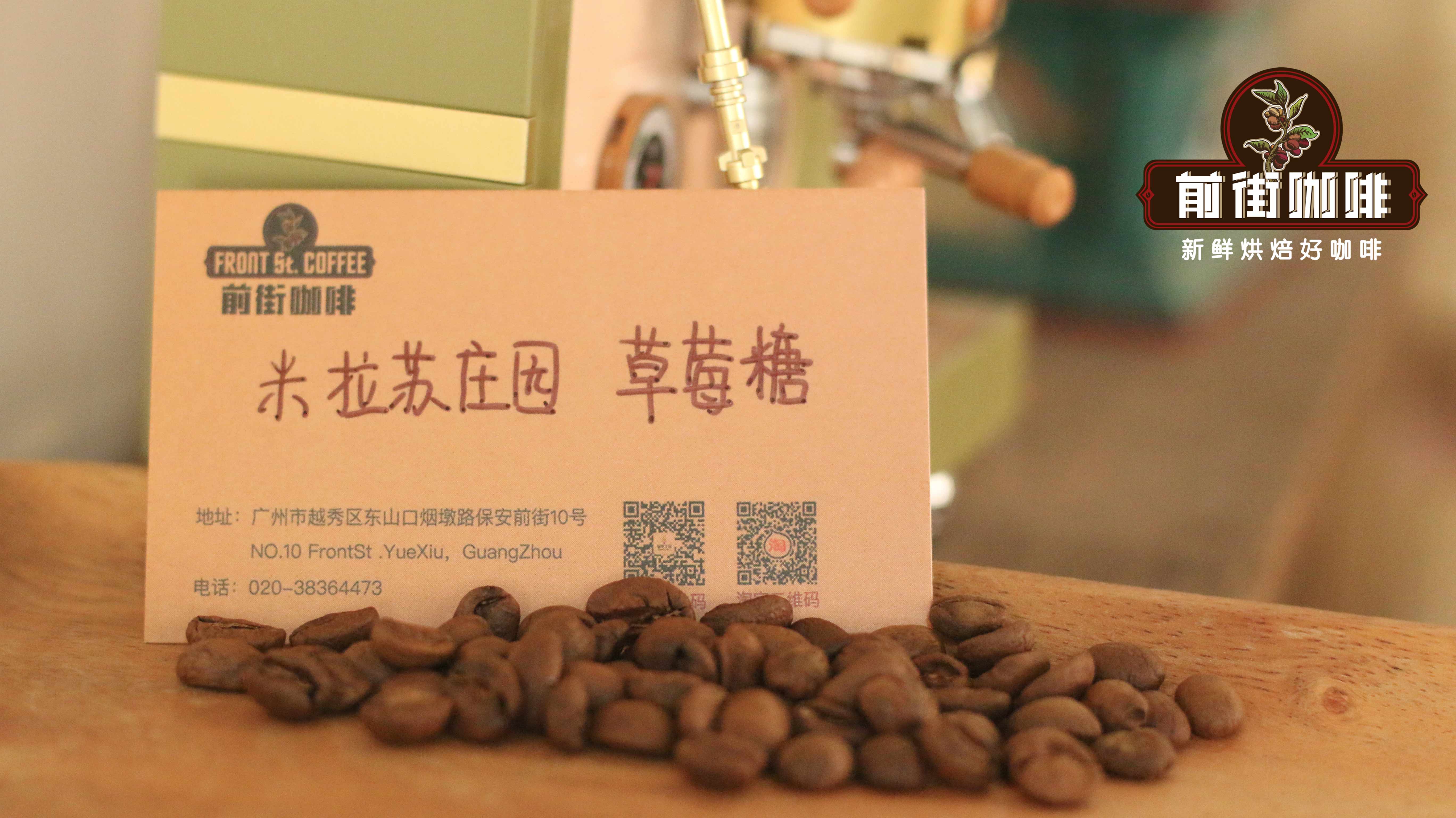 Which coffee beans are suitable for a moka pot? The difference between light and dark roasts and the importance of fresh roasting