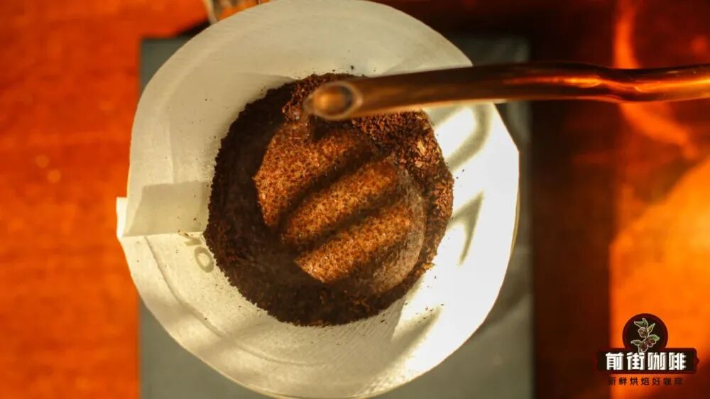 Papua New Guinea Coffee Bean Grading and Flavor Analysis | Beginner's Guide to SIGRI Bird of Paradise Plantation