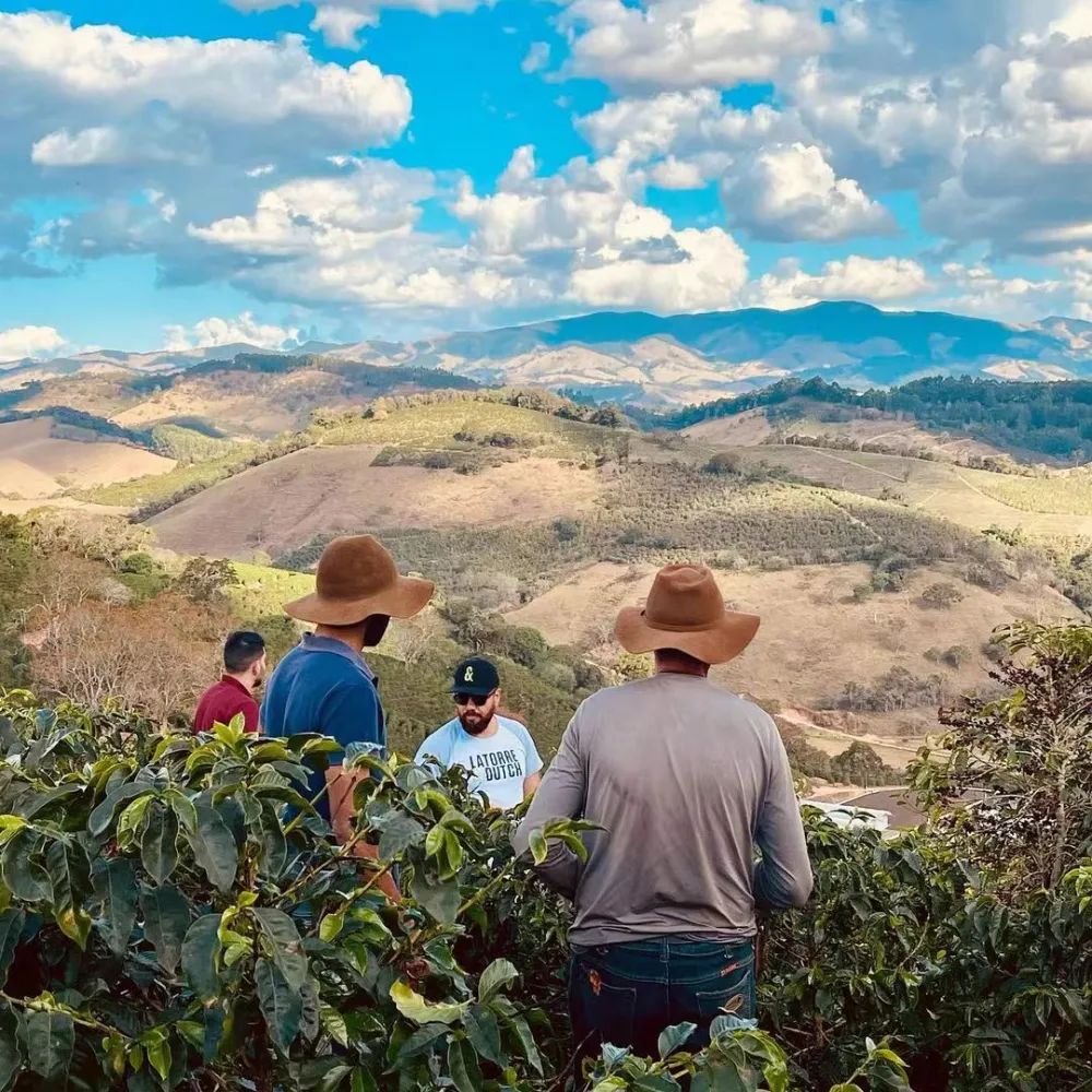 Papua New Guinea Coffee Bean Grading and Flavor Analysis | Beginner's Guide to SIGRI Bird of Paradise Plantation