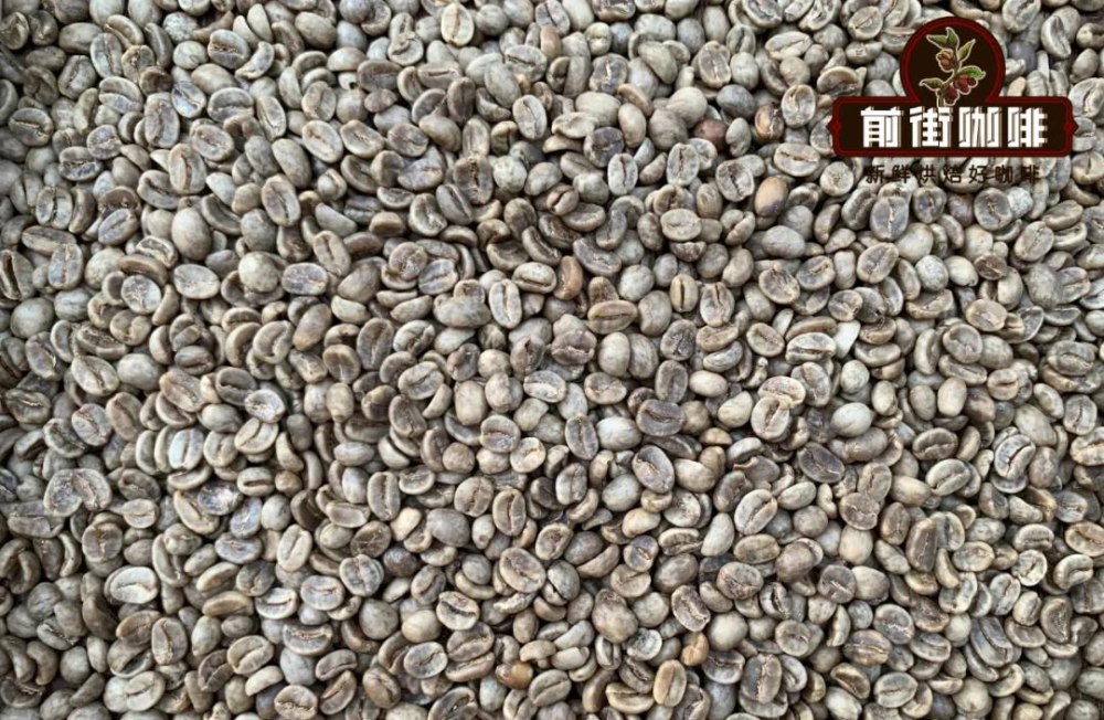 A Complete Guide to Decaf Coffee | Who Is It For? Differences from Regular Coffee, Pour Over Bean Recommendations & Common Myths