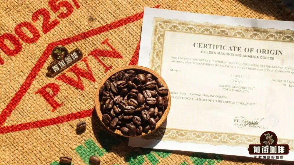 How to Choose Indonesian Mandheling Coffee Beans? Recommendations for Pour Over, Dark Roast, and Premium PWN Golden Mandheling