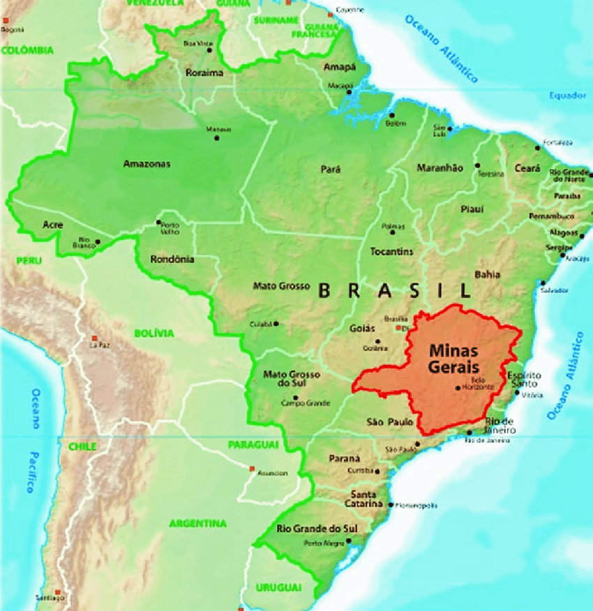A Complete Guide to Brazilian Coffee Beans | Origins, Varieties, Yellow Bourbon Natural, and Pour Over Techniques