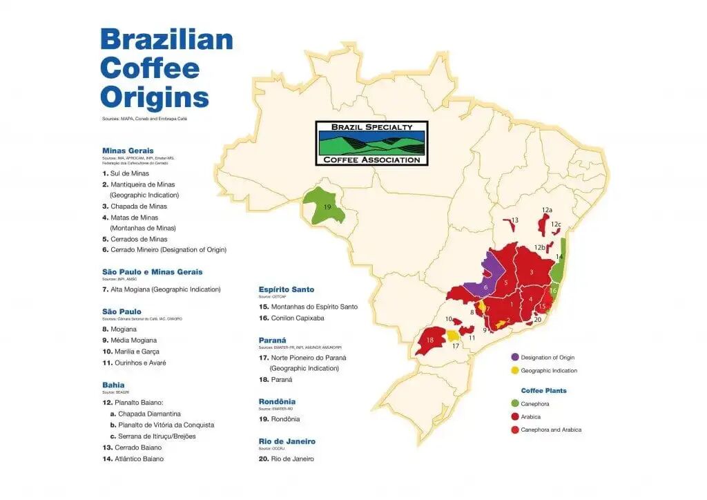 A Complete Guide to Brazilian Coffee Beans | Origins, Varieties, Yellow Bourbon Natural, and Pour Over Techniques